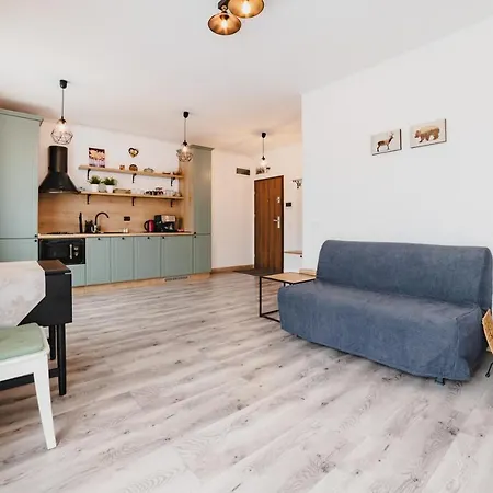 Modern Apartments Near Old Town Braşov