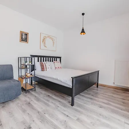 公寓 Modern Studio Near Old Town 布拉索夫