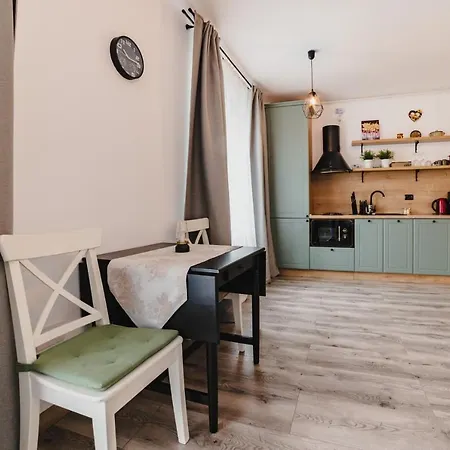 Schiller Studio 64 - Free Private Parking Brasov