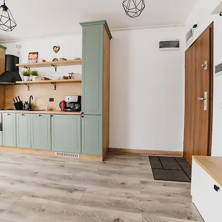 Modern Studio Near Old Town Brașov