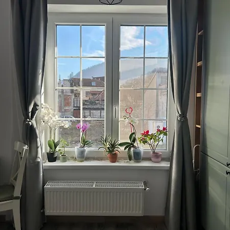 Modern Studio Near Old Town *