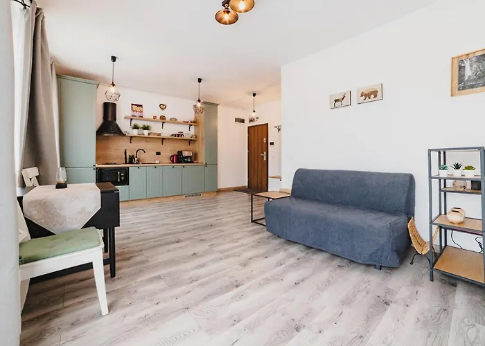 Schiller Studio 64 - Free Private Parking Brasov