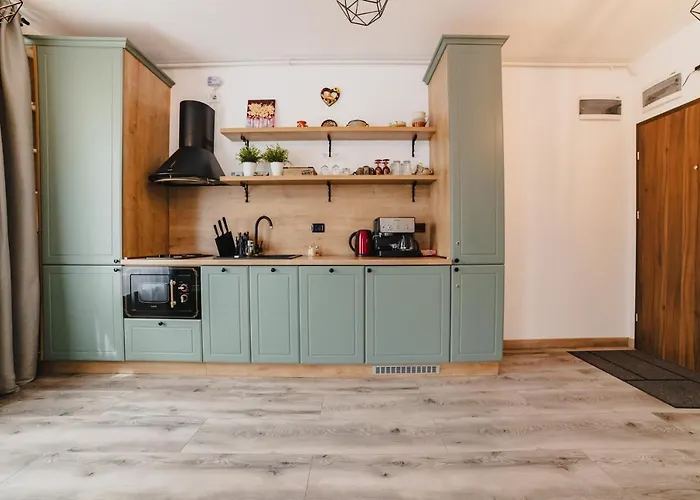 Schiller Studio 64 - Free Private Parking Apartment Brasov