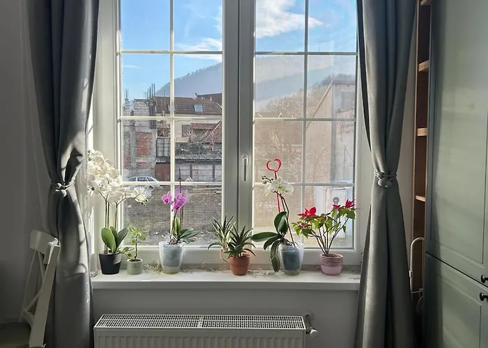 Schiller 64 - Free Private Parking *